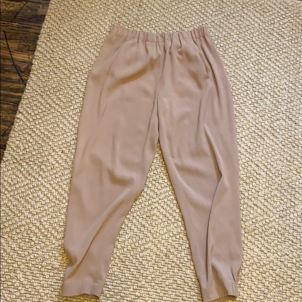 Aritzia - Babaton Dexter  Pant